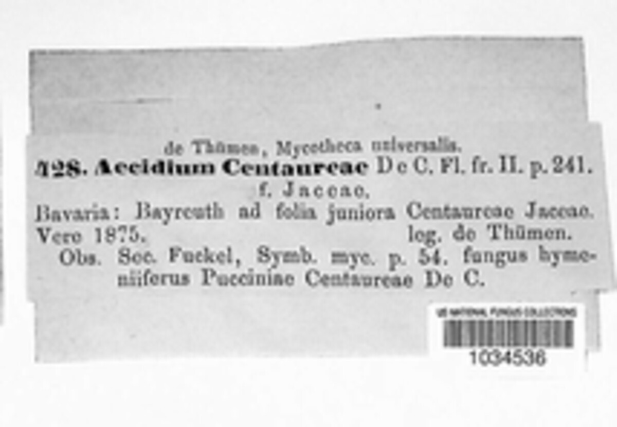 Aecidium centaureae image